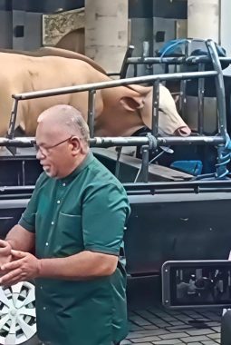 FCT Kembali Hadir Salurkan Hewan Qurban di Masjid Raya Al Fatah, Perkuat Nilai Persaudaraan di Maluku