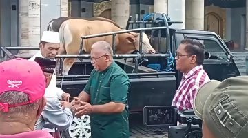 FCT Kembali Hadir Salurkan Hewan Qurban di Masjid Raya Al Fatah, Perkuat Nilai Persaudaraan di Maluku