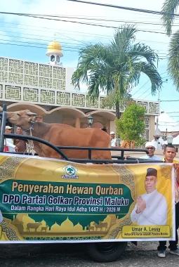 Negeri Tulehu Sambut Golkar Maluku, Penyerahan Hewan Qurban Jadi Simbol Kedekatan Historis dan Sosial