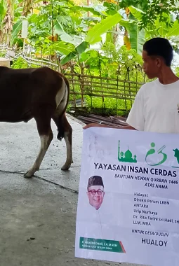 Dari Maluku untuk Indonesia, Yayasan Indah Salurkan 75 Hewan Qurban ke Berbagai Daerah