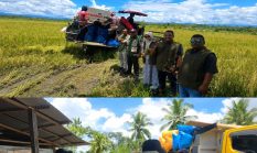 Rekor Baru BULOG Tembus 3 Juta Ton Serapan Gabah-Beras Petani