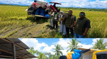 Rekor Baru BULOG Tembus 3 Juta Ton Serapan Gabah-Beras Petani
