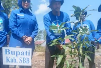 Gerakan Tanam Pohon Warnai HUT Demokrat di SBB, Asri Arman: Ini Investasi Masa Depan
