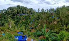 Dua Penambang Tewas di Tengah Operasi Penutupan Tambang Sinabar Huamual