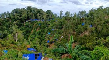 Dua Penambang Tewas di Tengah Operasi Penutupan Tambang Sinabar Huamual