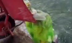 Viral! Aksi Warga Buang Sampah ke Laut Berkedok ‘Tradisi’ di Kabupaten Buru Menuai Kecaman