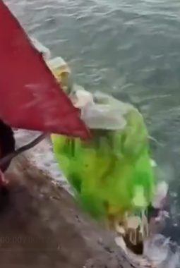 Viral! Aksi Warga Buang Sampah ke Laut Berkedok ‘Tradisi’ di Kabupaten Buru Menuai Kecaman